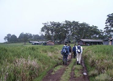 short-execursion-nairobi-kenya-safari-tour