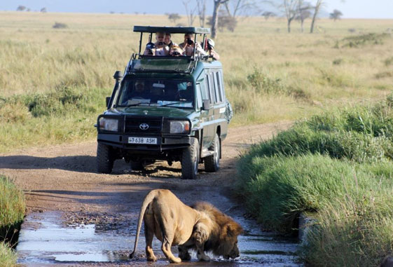 uganda-safaris