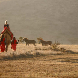 Plan Your Perfect Holidays With Tour Operator