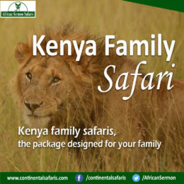 Things To Consider When Looking For Holiday Packages In Africa