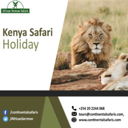 kenya-safari-holiday