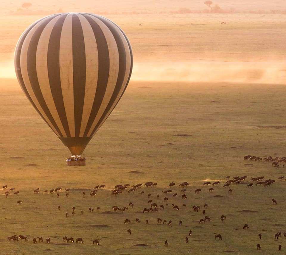 hot air balloon safaris in Masai Mara and Serengeti - Kenya Tanzania